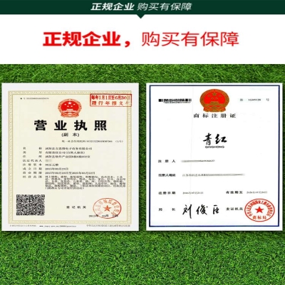 草地毯。饰品拼接假草皮旅游地毯草坪垫耐磨户外铺装绿植材料屋顶