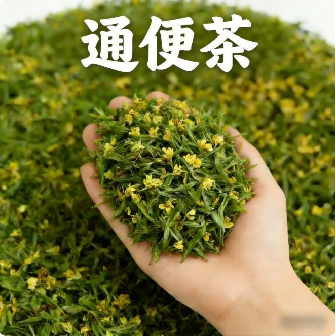 便秘茶排便润肠清肠毒通男女士老年人黄芪当归火麻仁大干结羊屎球