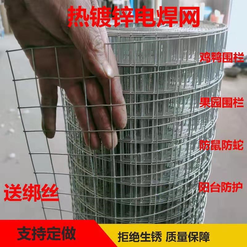 镀锌铁丝网格网5厘米网孔钢丝网果园养鸡围栏网养殖户Z外防护网栏