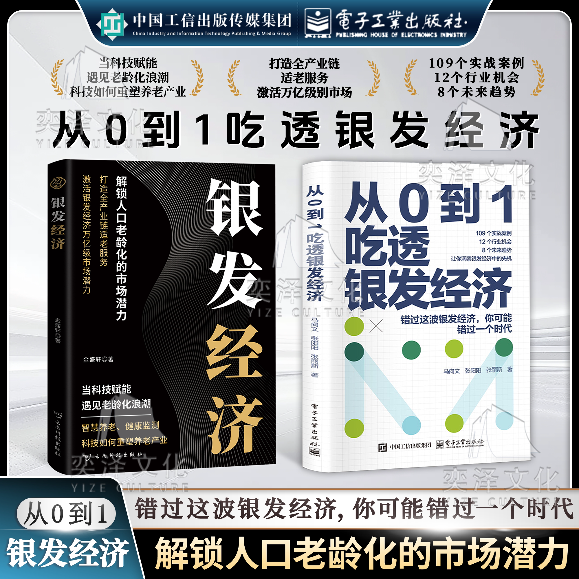 【官方正版】银发经济解锁人口老龄化的市场潜力打造全产业链适老服务从0到1吃透银发经济 解锁人口老龄化的市场潜力电子工业出版