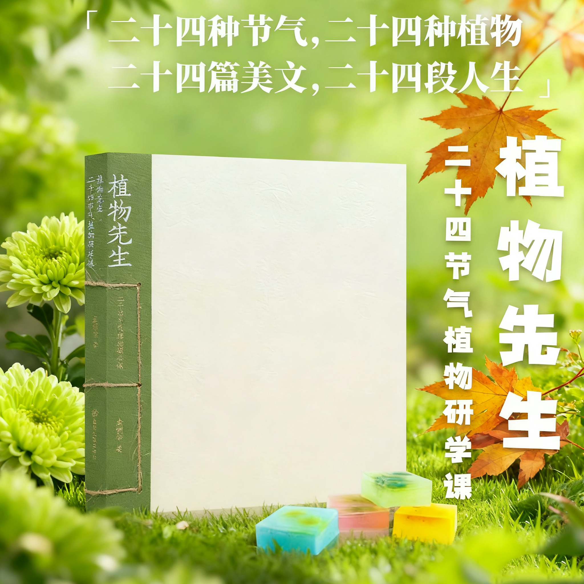 【最新版】植物先生(1+2) 二十四节气植物研学课 袁明华著【赠手工版画+邮票+时食版画+信笺 】标本纸页艺术收藏品 植物绘本课外