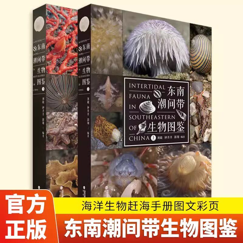 【官方正版】东南潮间带生物图鉴上下全2册 刘毅、钟丹丹、郭翔 著 海洋生物图集 赶海必备指南手册 图文彩页铜版纸海峡书局出版