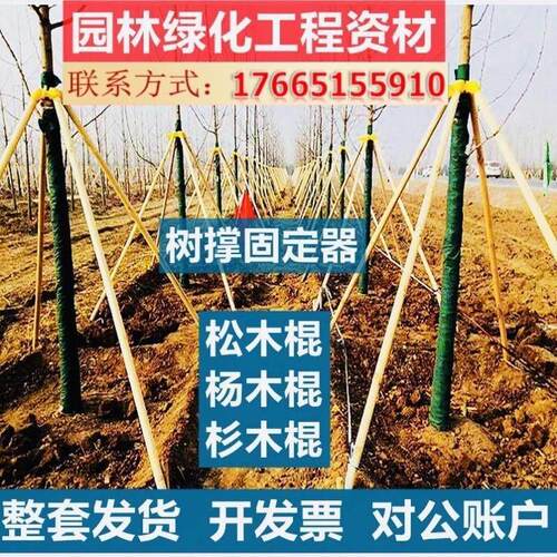 极速苗木固定器园林养护物资树木支撑绿化支架伸缩杆固定器套杯树