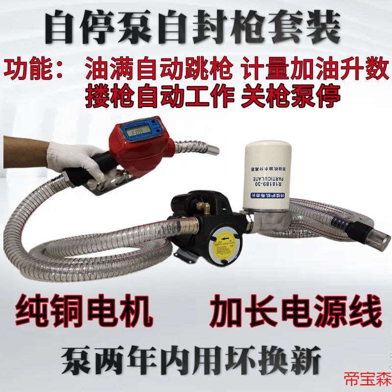 抽油泵电动柴油12v伏24V220V大功率枪停泵停自吸自停加油枪加油泵