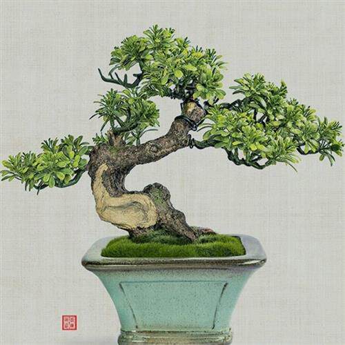 极速中式仿真假树梅花崖柏红枫园艺花卉盆景装饰景观树客厅家居假