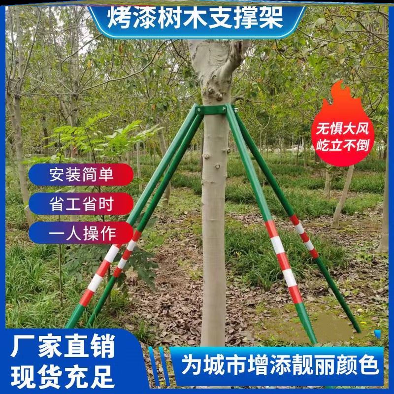 树木固定支架园林绿化树撑树木支撑固定器钢管树支撑架大树支撑杆