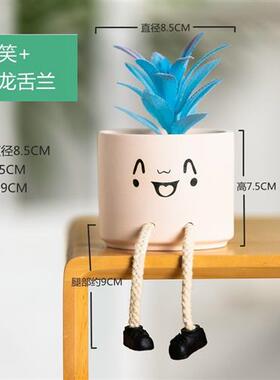 极速ins吊脚娃娃可爱盆栽仿真多肉仙人掌植物摆件桌面创意家居装