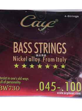 Caye Electric Guitar Bass Guitar 4 5 6 Strings Series Guitar