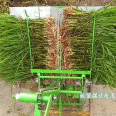 新品栽秧手摇小型水稻插秧机耕田新式双行水田稻田手推农用插田大