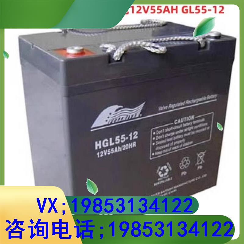 12V55AH GL55-12直流屏UPS机房应急 3C数码配件 电子辞典/学习机配件 原图主图