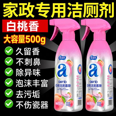 泡沫慕斯洁厕灵家政同款除垢留香