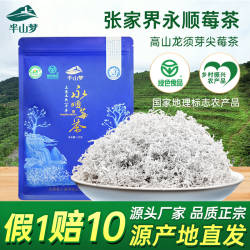 永顺莓茶张家界特级野生芽尖霉茶湖南美丽藤茶功效梅茶官方旗舰店