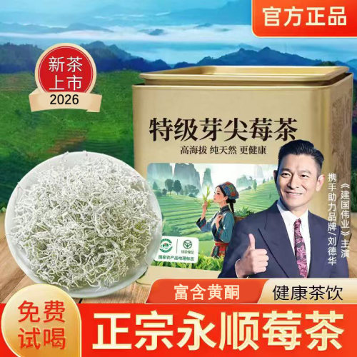 张家界永顺莓茶特级龙须芽尖藤茶