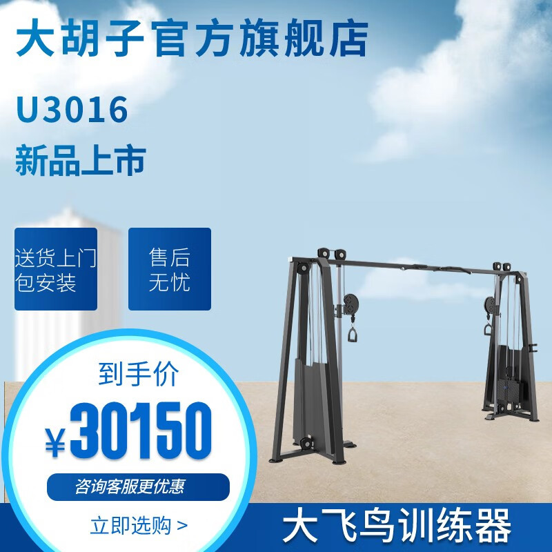 DHZ大胡子运动健身器材U3016大飞鸟训练器商用品质单位健身房减肥