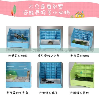 极速蚕宝宝巨型套装学生养蚕孵化春蚕饲养箱盒子S盒房子小学生的