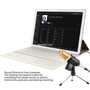 极速LESHP Black Volume Reverberation Condenser NeUtwork K So