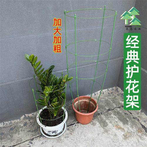 极速花架爬藤支架金钱树支伸缩杆防倒蟹爪兰支Q架三角梅加大固定,鲜花速递/花卉仿真/绿植园艺,花架,淘宝优惠券,粉丝福利购,淘宝优惠卷