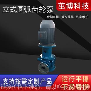 圆弧齿轮泵高温增压燃油泵船用齿轮立式 立式 润滑油泵液压油循环泵