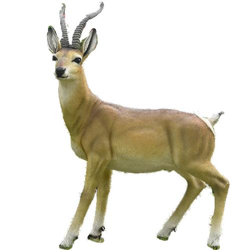 园林景观装饰户外仿真动物羚羊玻璃钢雕塑花园工艺品摆件源头工厂