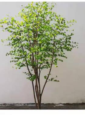 仿真日本吊钟树大型仿真树绿植装饰室内造景假树网红款植物树