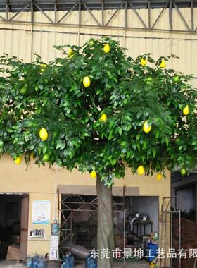 大型仿真柠檬树带果玻璃钢室内外商场酒店装饰园林工程景观树摆件
