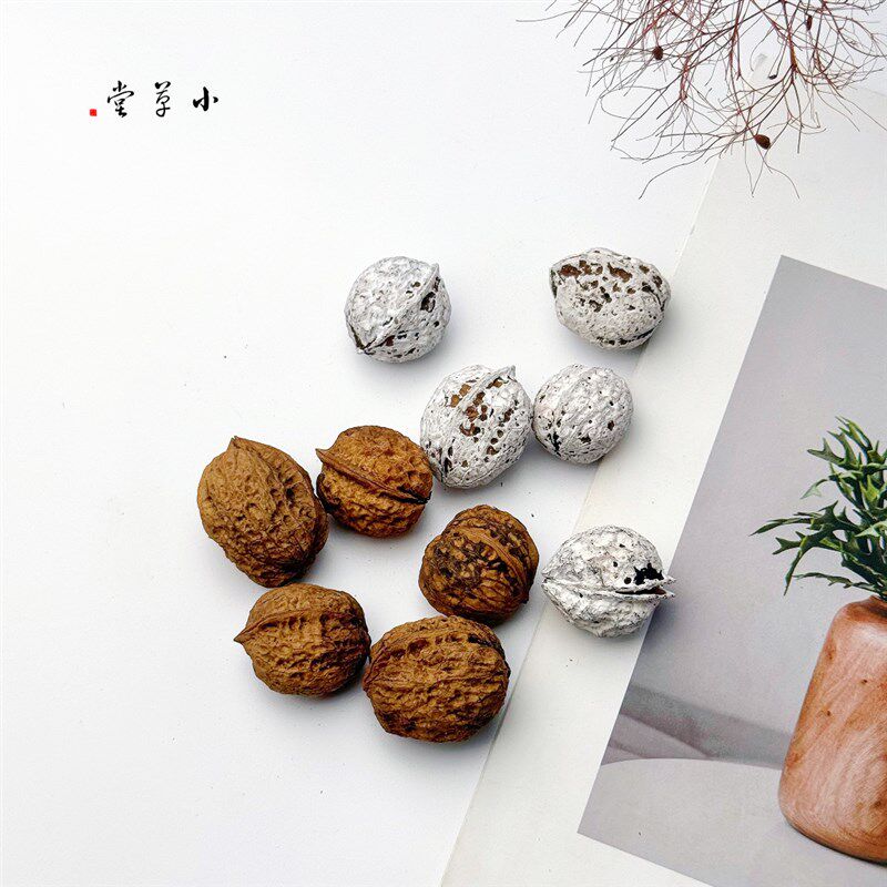 新品【山核桃】天然植物果实 幼儿手工diyL材料植物墙触摸植物标