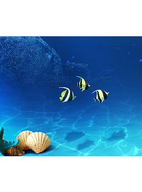 极速鱼缸背景纸高清立体壁纸水族箱贴F壁画造景装饰3D正胶海底世
