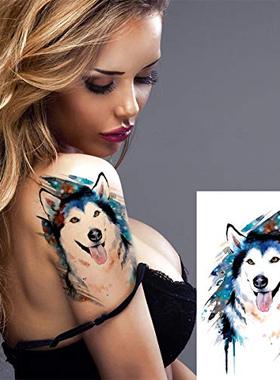 极速6 Sheets iPADOUN Unicorn Geometric Tiger Wolf Waterproof