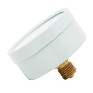 Y60Z轴向压力表空压机压力罐专用压力表1.6Mpa真空表水空气红旗仪