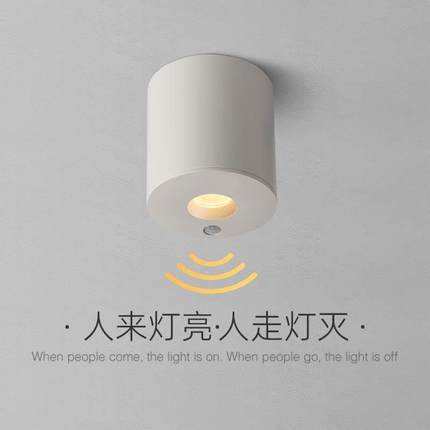 爱斯兰led明装筒灯家用天花走廊过道灯人体感应灯入户玄关阳台灯