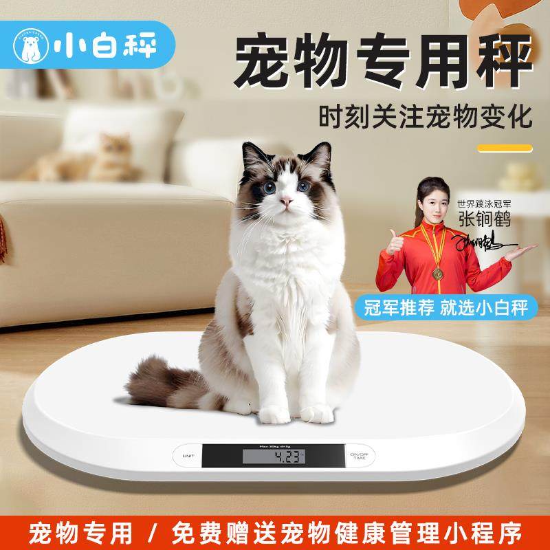 小白秤宠物称重家用猫咪狗狗专用体重精准电子秤儿童宠物秤婴儿秤