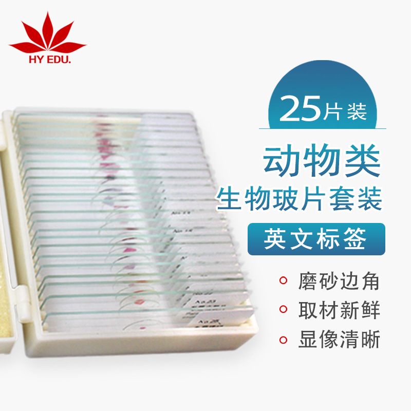 英文标签25片装动物类生物玻片科教显微镜标本切片