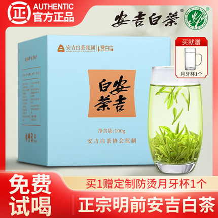 安吉白茶2025新茶明前特级高山绿茶珍稀茶叶官方正品旗舰店礼盒装