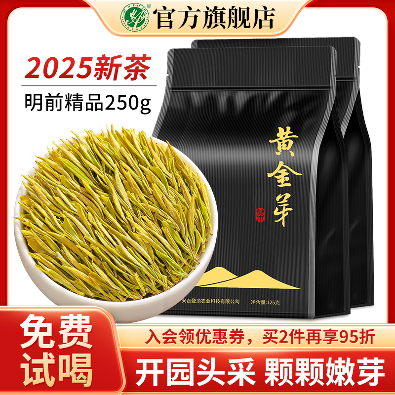 黄金芽茶叶明前特级绿茶精品250g