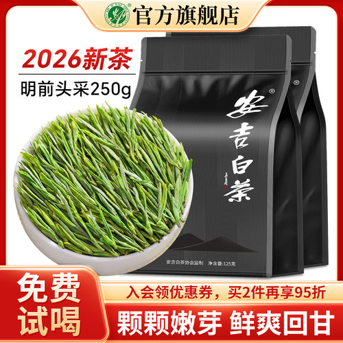 头采2026新茶安吉白茶特级茶叶