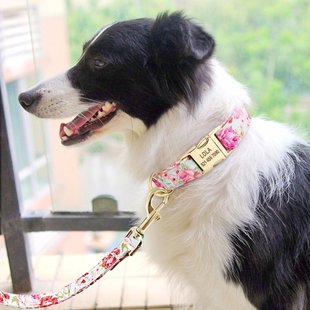 Walking Collars Dog Collar Leash 极速A print Nylon Set Pet