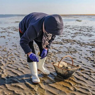 大蛏子钩304不锈钢赶海神器钓竹节蛏永不锈赶海钓具20元包邮