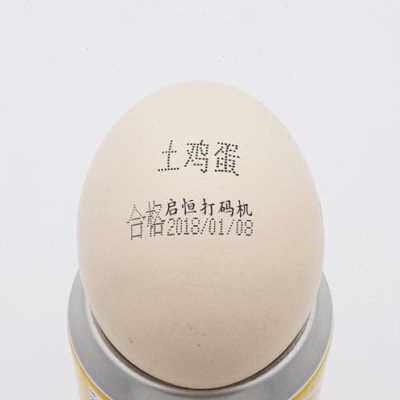 极速新厂促85X175mm手动p打码机码生产日期钢板手持打打器模版码