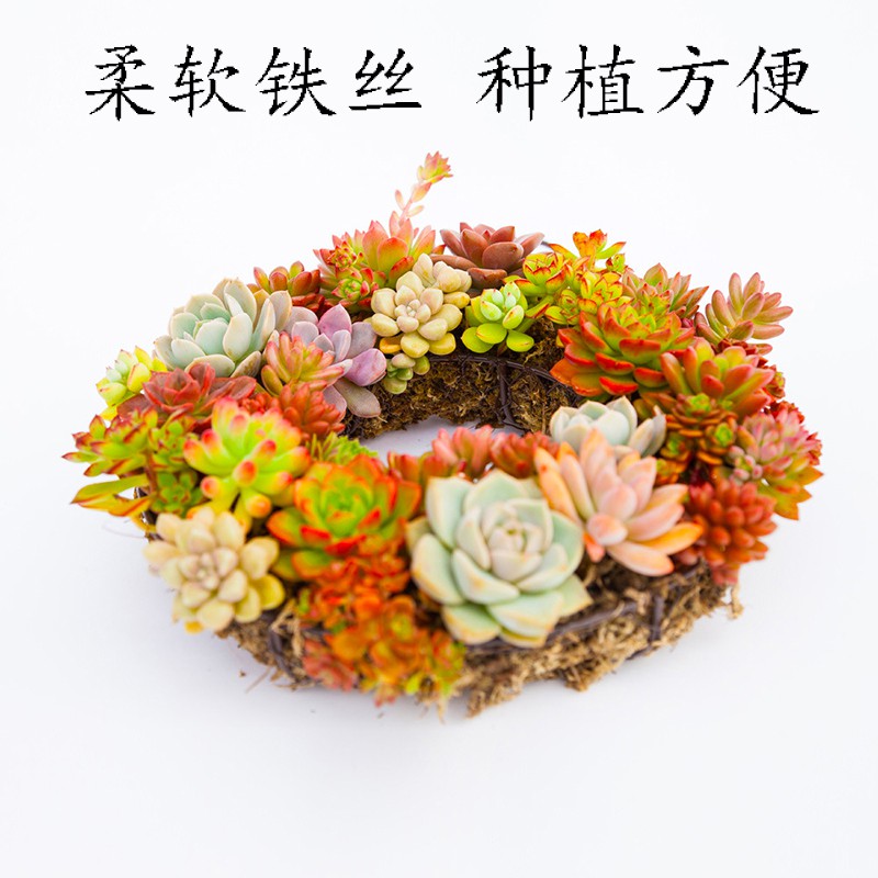多肉花盆铁艺镂空爱心花环无土栽培多肉植物创意花卉盆栽嘉