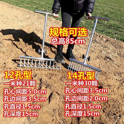 种葱神器栽葱栽苗器打眼葱叉子自动打孔工具洋葱种菜移栽移苗器