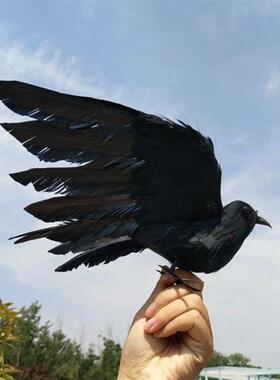 极速仿真羽毛乌鸦摆件万圣节假鸟装饰品摄影道具乌鸦教学模型仿真