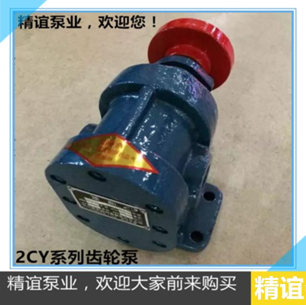 高温齿轮泵2CY1.08/2.5,2.1/2.5,3/2.5齿轮油泵渣油泵自吸压头