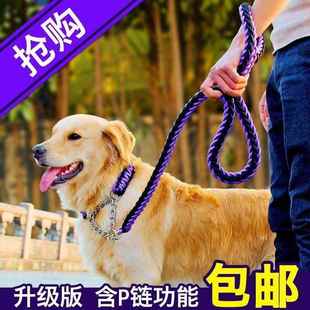 Buckl Metal Strand Rope Large 极速Double Leashes Dog Chain