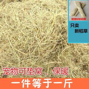 稻草漆兔子荷兰猪保暖干稻草宠物食用草天然草垛打草绳宠物垫窝草