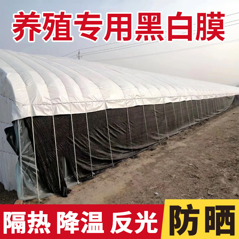 极速绿色大棚绿白膜黑白养殖膜防航拍照卫星薄膜香菇食用菌半透光