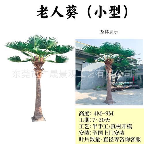 仿真椰子树大型外贸海枣树沙滩广场水上乐园绿化造景工程假棕榈树