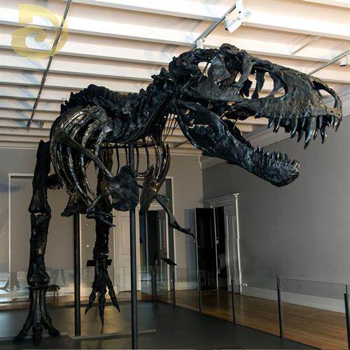 大型景观仿真霸王龙玻璃钢骨架室内博物馆恐龙骨骼化石展览雕塑
