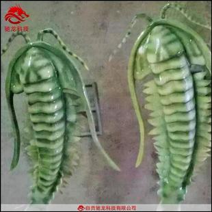 寒武纪海底无脊椎生物模型奇虾三叶虫模型动雕电动机模装置公司