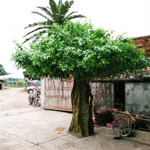 榕树植物园林景观装饰绿植榕树人造大型摆件假树景观树