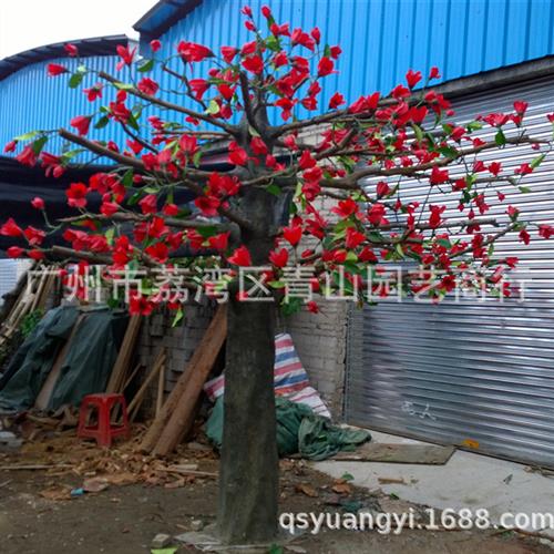 仿真木棉花树加密玻璃钢杆大型假树仿真园林假木棉花树假植物定